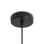 Подвесной светильник Freya FR5529PL-01B