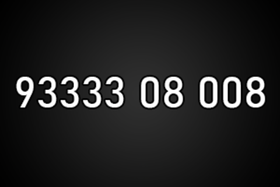 9333308008