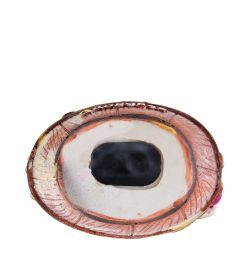 MC-406/2 Копилка «Дракон. Здоровья»