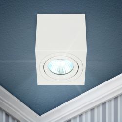 Светильник настенно-потолочный спот ЭРА OL22 WH MR16/GU10, белый, поворотный | Накладные светильники