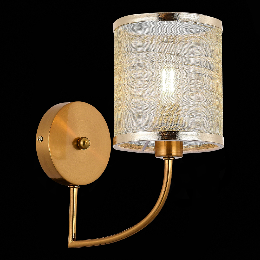 Светильник настенный Evoluce Ellisse SLE1119-301-01