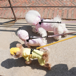 004 Шлейка универсальная (регулируемый ползунок-клипса) SSOOOK