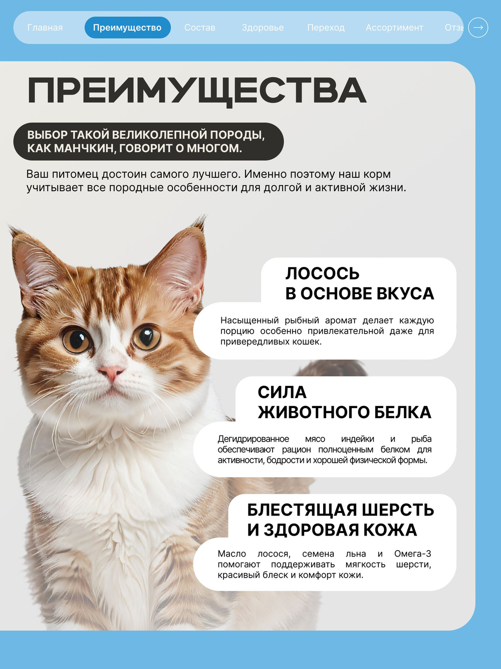 Корм сухой для взрослых кошек породы Манчкин, с лососем, 2 кг, QUATTRO