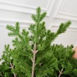 Елка с гирляндой встроенной 2в1 «Meribel» (Литая хвоя) от 1,8 м до 3 м