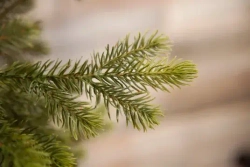 Елка Уэльская 215 см., литая хвоя+пвх, Triumph Tree (73556)