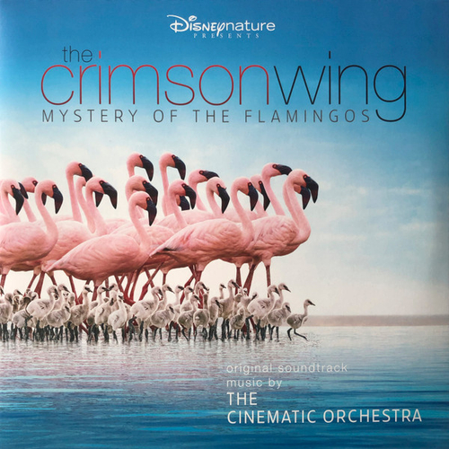 The Cinematic Orchestra - The Crimson Wing - Mystery Of The Flamingos - Pink 2LP