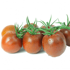 Сармат семена томата индетерминантного (Гавриш)