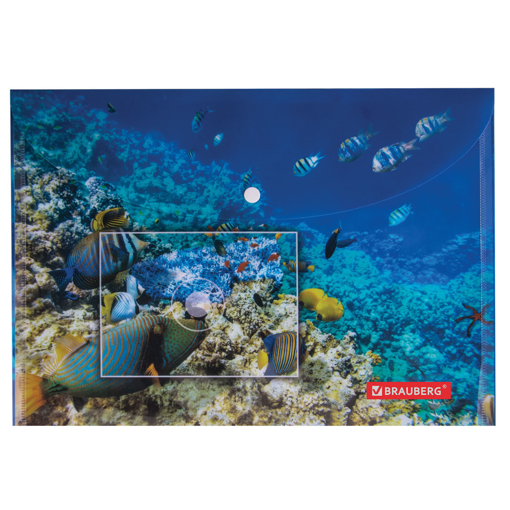Папка-конверт с кнопкой BRAUBERG "SEA WORLD" А4 160 мкм до 100 листов цветная печать (12 штук в упаковке)