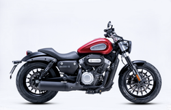 Benda Chinchilla 300 green