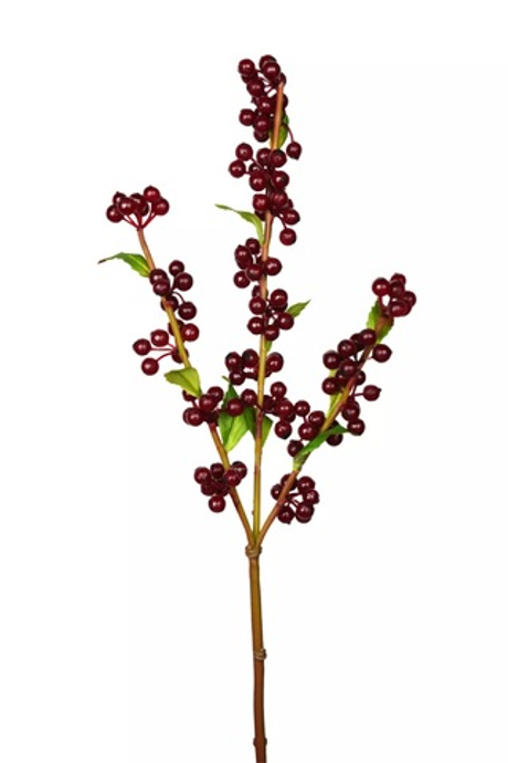 Ветка с ягодами Клюквы