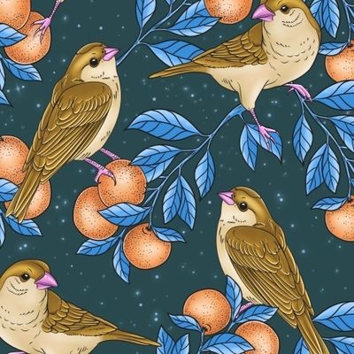 Птицы и мандарины