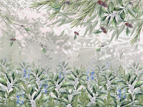 Коллекция FOREST