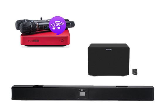 Комплект караоке Evolution Evobox Plus [Ruby] + саундбар EvoSound + годовая подписка на обновления