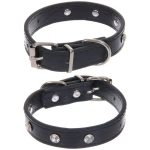 Ошейник для собак и кошек со стразами «На стиле», цвет черный, 2см, размер XS, 20*25см (лейбл)