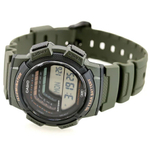 Мужские наручные часы Casio WS-1800-3A
