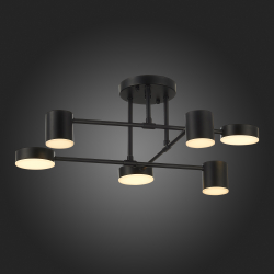 Светильник потолочный Evoluce Nobel SLE201042-06