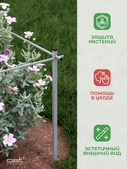 Кустодержатель