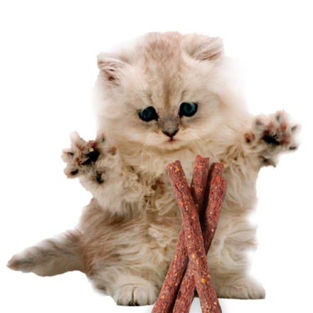 Лакомства для кошек