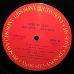 Schon & Hammer / Here To Stay (LP)