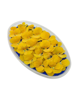 Съедобные цветы виола обезвоженная «Солнечный рай» (фиалки), 20 шт