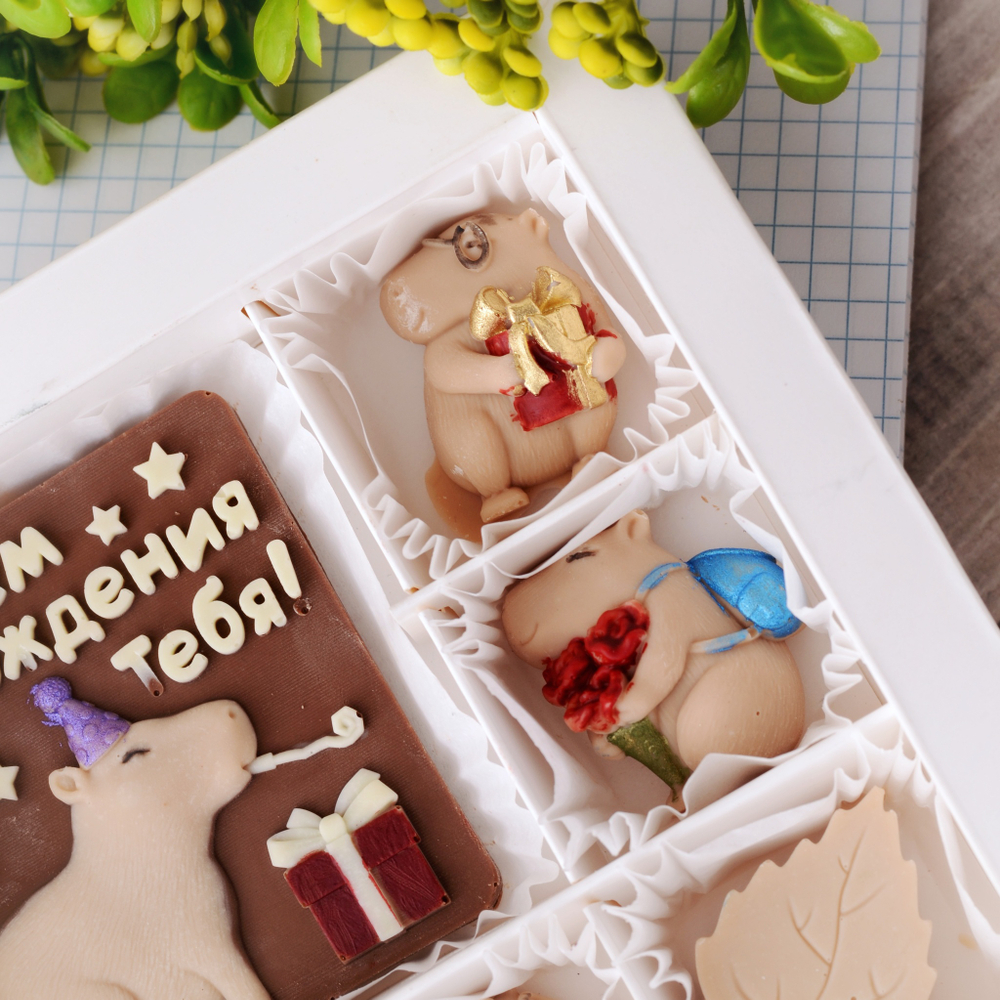 Набор "С днём рождения" с капибарами #3