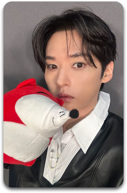 Карта / STRAY KIDS #4397