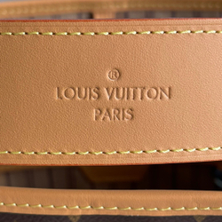 Louis Vuitton Delightful MM