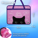 Папка на молнии с ручками BRAUBERG А4 1 отделение пластик 80 мм "Black Cat" (3 штуки в упаковке)