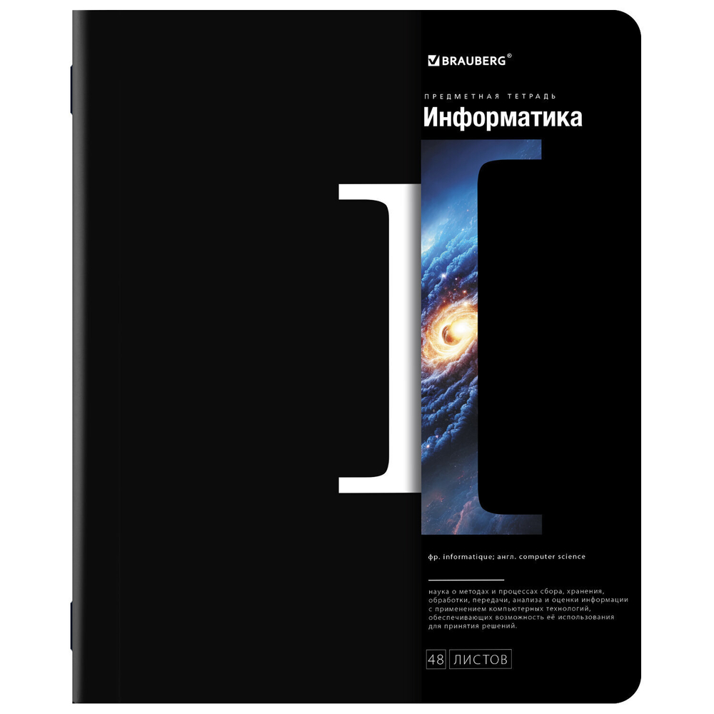 Тетради предметные комплект 12 ПРЕДМЕТОВ 48 л. матовая ламинация BRAUBERG "INTELLIGENCE" (2 штуки в упаковке)