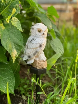 Светильник уличный на солнечной батарее "Сова" Live home