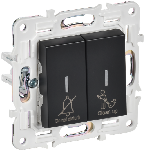 SKANDY Выключатель 2-клавишный с индикацией для отелей 10А SK-V16Bl черный IEK