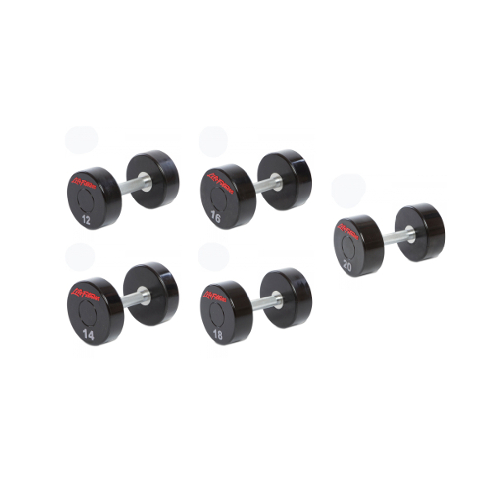 Life Fitness гантель цельная профессиональная 10 кг