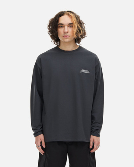 Лонгслив Anteater Phat-Long110