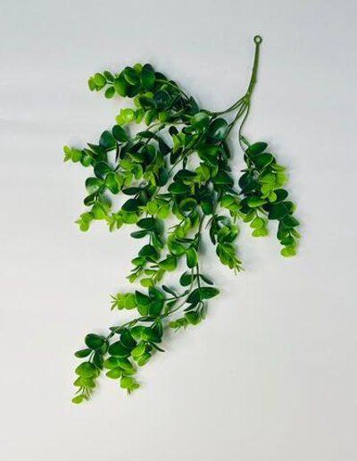 Адиантум 70 см