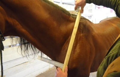 Клещи хомутовые от 0-8