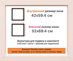 Рама 42x59,4 для картин и фотографий RP0781925-36