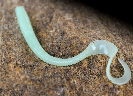 Tsurinoya R13 Bait 120мм./3,5гр.