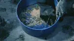 Гидропломба Ватерплаг 5 кг