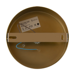 Настенный светильник (бра) Freya FR5124WL-01BS