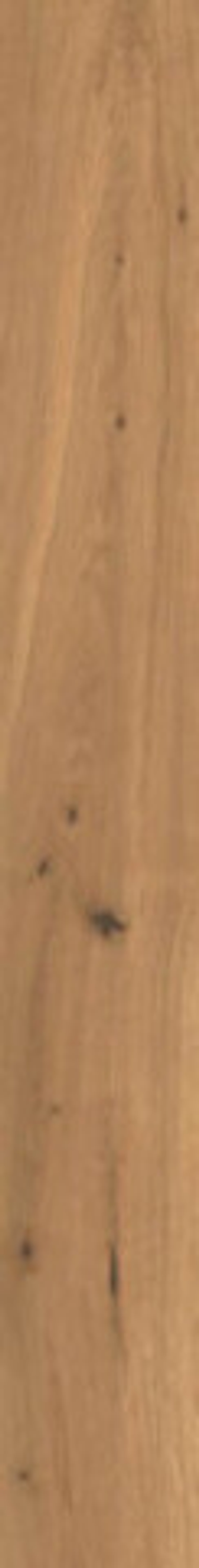 Керамогранит Log Amber Oak Forest (AX3P)