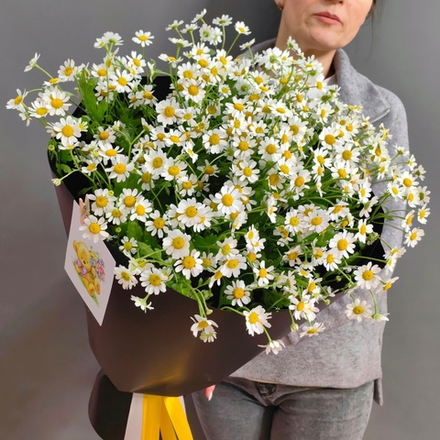Букет из 13 ромашек