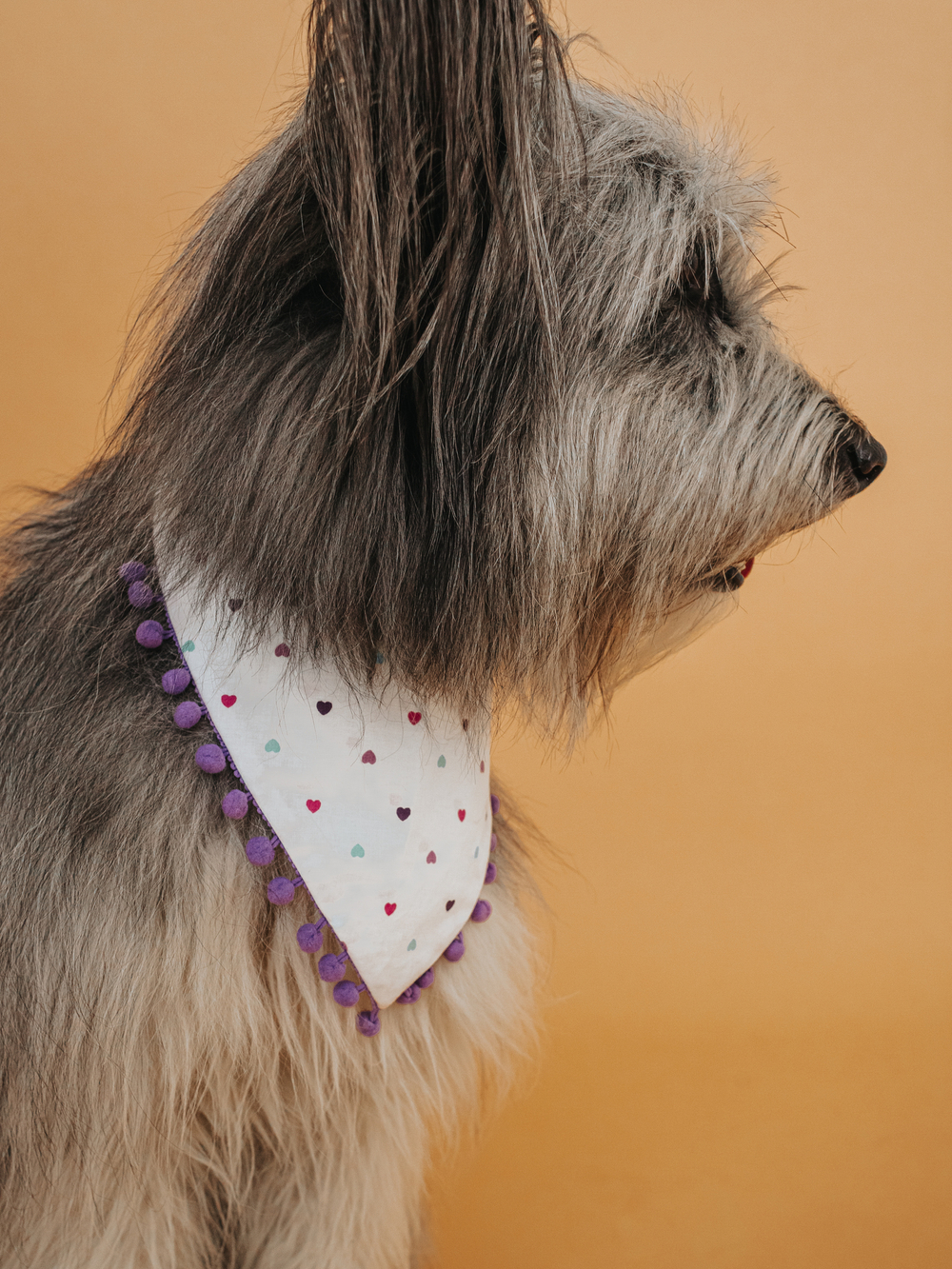 Бандана сиреневая с сердечками