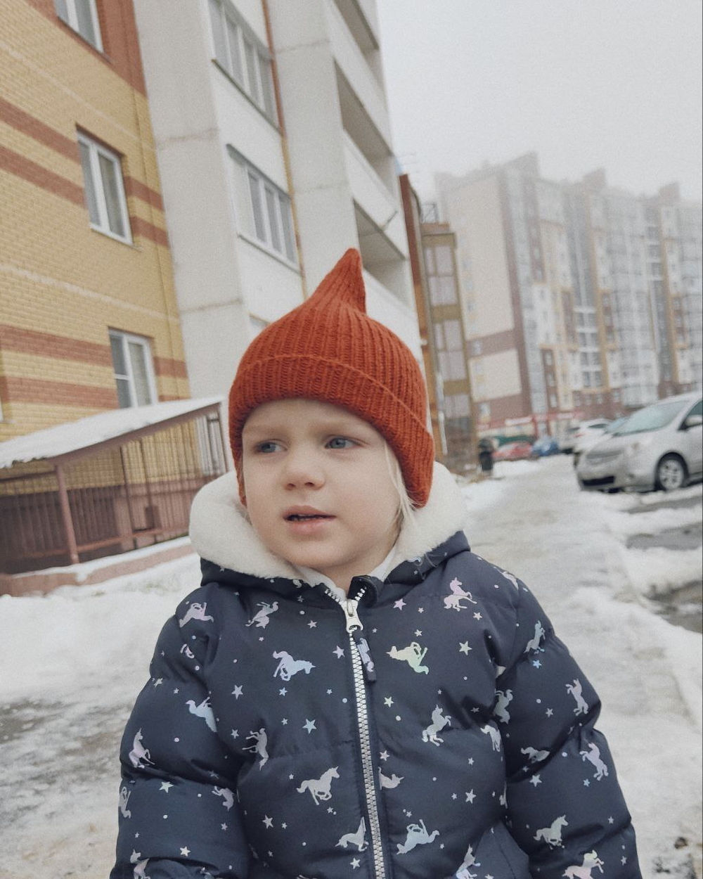 шапка Суходолка PDF