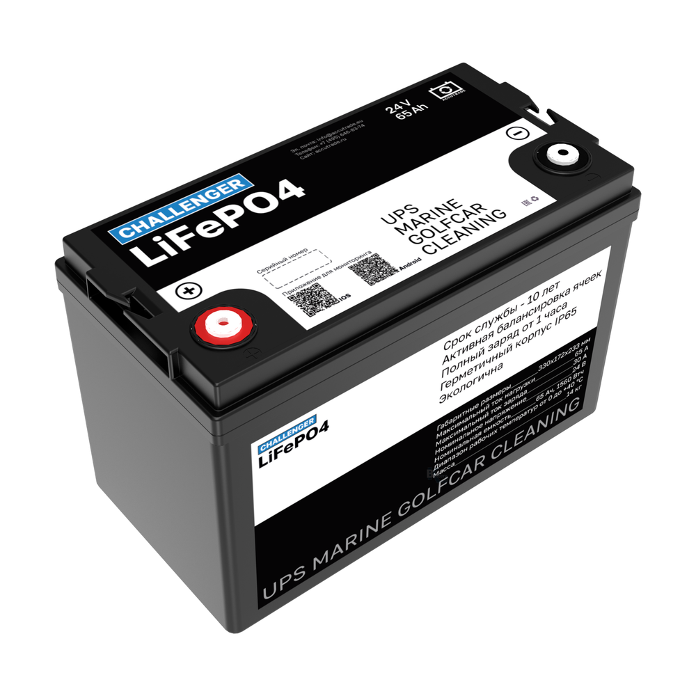 Аккумулятор Challenger LFP 24-65 (LiFePO4)
