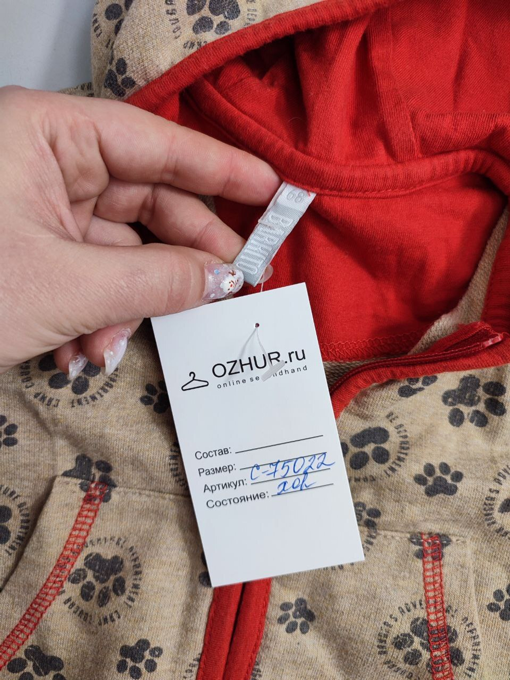 Толстовка Barkito модная на 6 месяцев