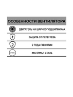 Вентилятор накладной STORM 250 2полюс ERA PRO