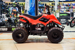 MOTAX ATV MIKRO 110 cc Красный