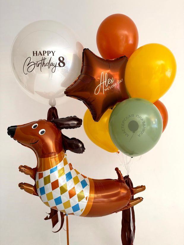 Воздушные шары Такса №8916