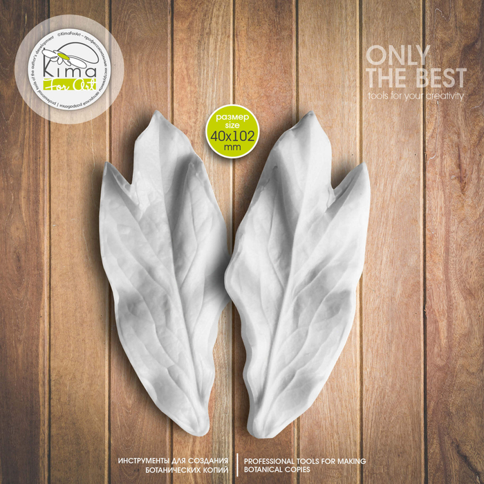 Пион Coral лист большой