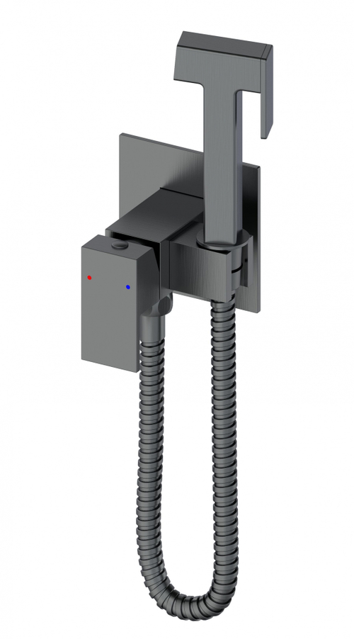 Смеситель с гигиеническим душем встраиваемый WONZON & WOGHAND, Темный графит (WW-88829903-BGM)